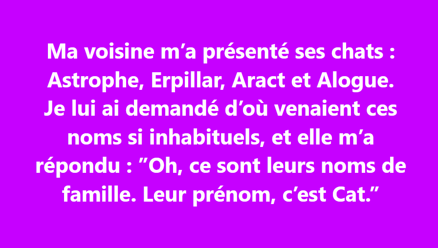 Capture d'écran 2026-01-25 000126.png