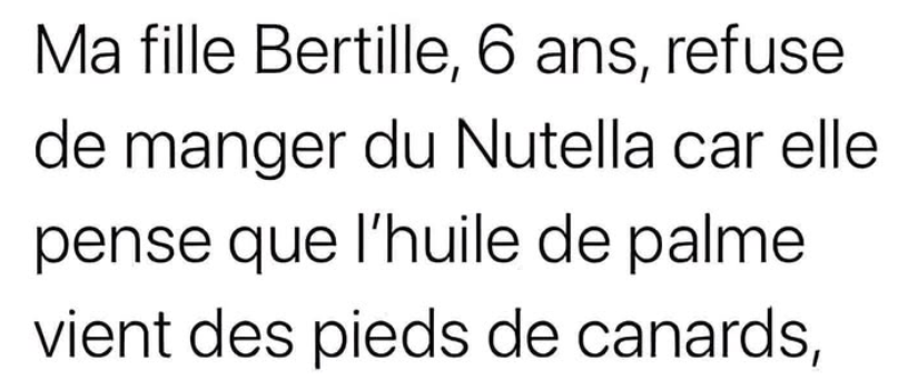 Capture d'écran 2026-02-24 145300.png