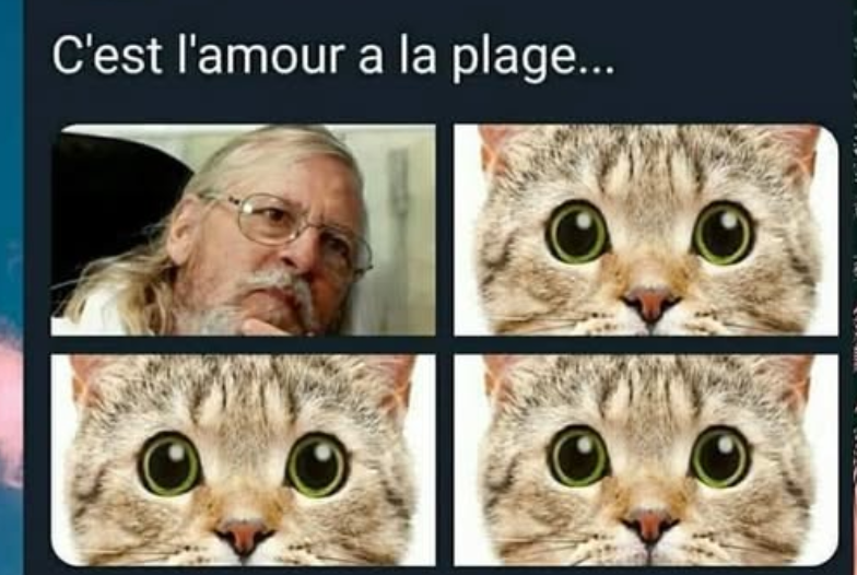 Capture d'écran 2026-03-23 192349.png