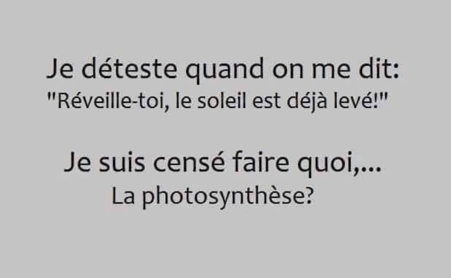 Capture d'écran 2026-04-19 220259.png