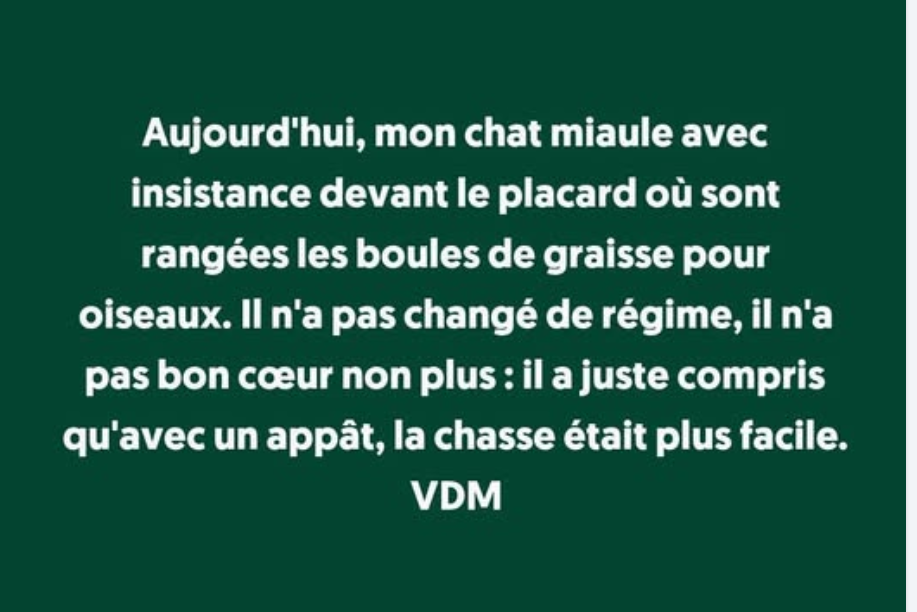 Capture d'écran 2026-04-25 130447.png