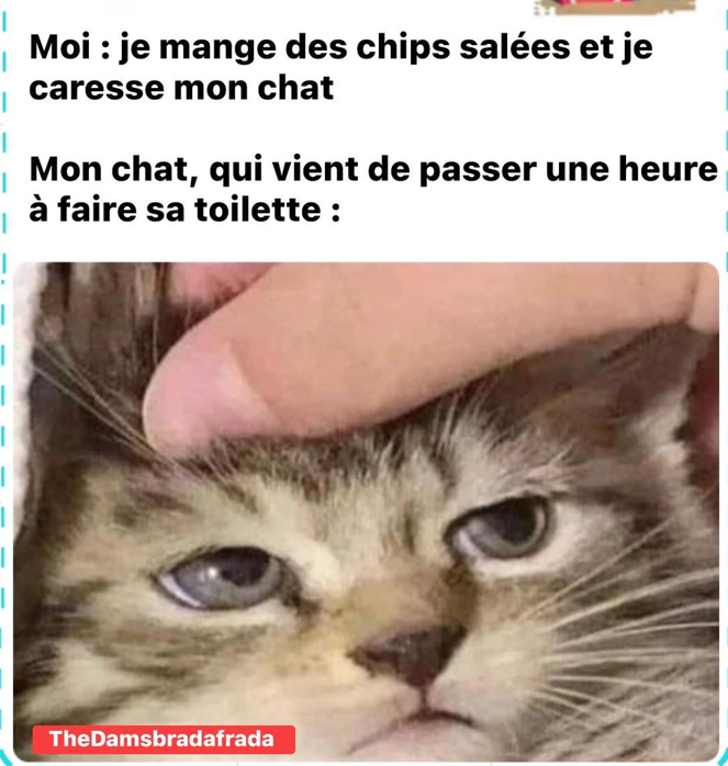 Capture d'écran 2026-05-13 144250.png