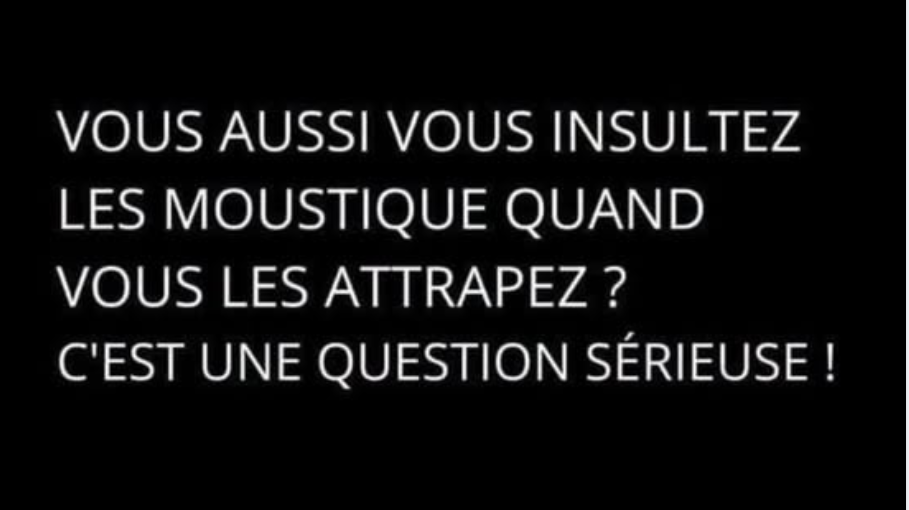 Capture d’écran 2026-08-15 010611.png