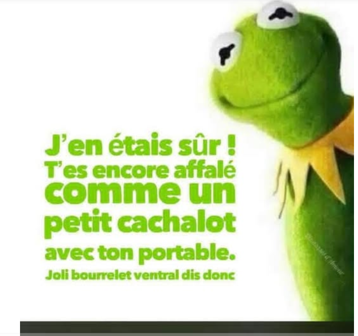 Capture d’écran 2026-08-15 143711.png