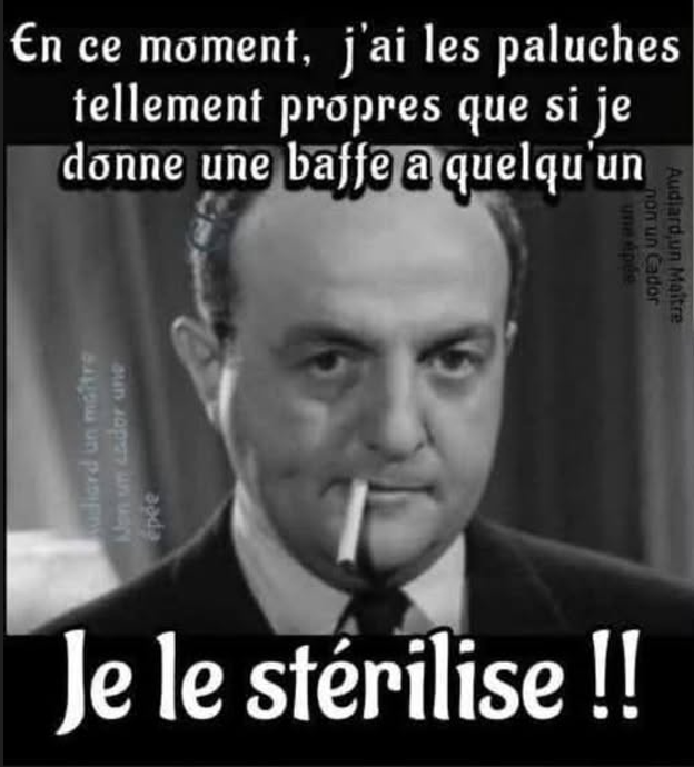 Capture d’écran 2026-08-22 204947.png