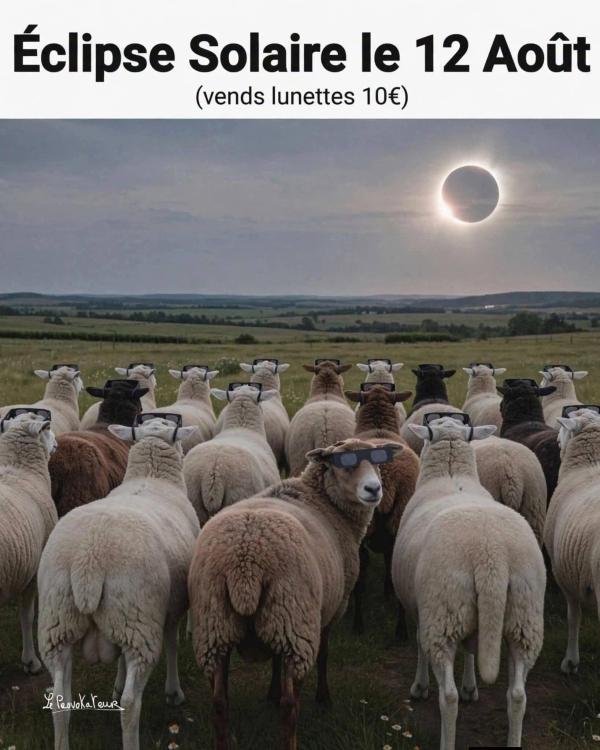 FB_IMG_1786472282223.jpg