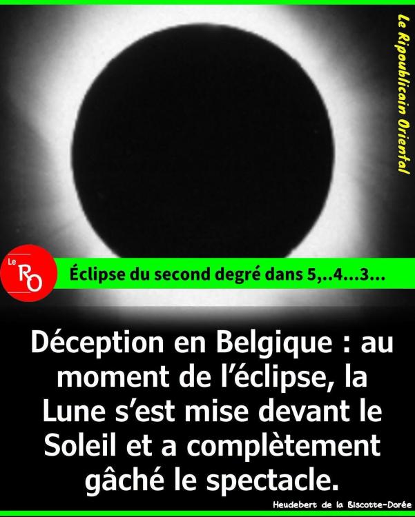 FB_IMG_1786561860427.jpg