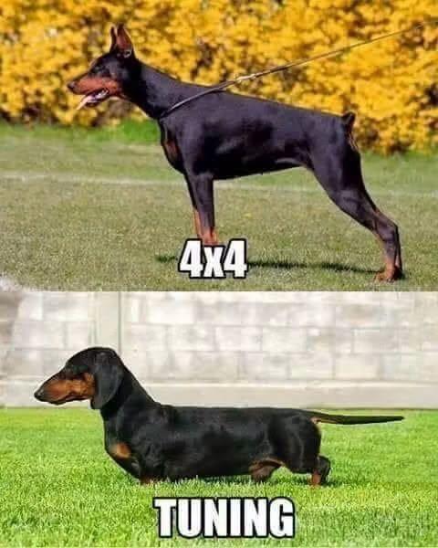 794460607_947941421111523_4552017266369700121_n.jpg