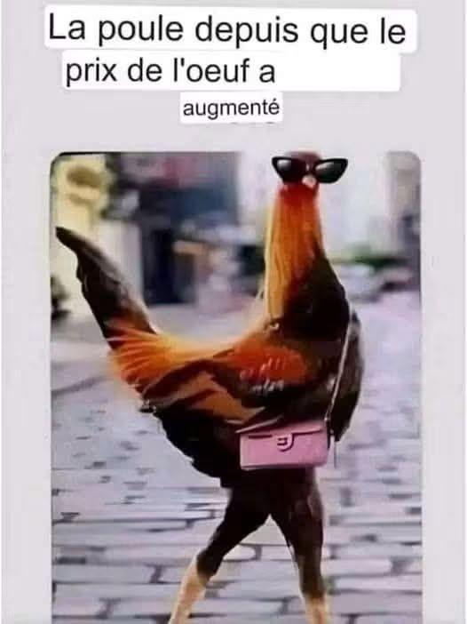 825281792_28399076133046903_4584088446893274260_n.jpg