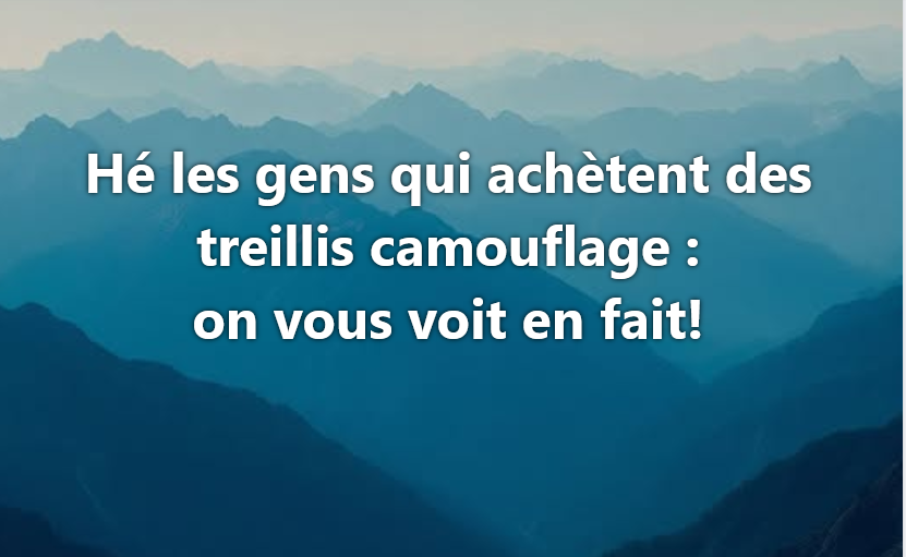 Capture d'écran 2026-07-01 134919.png