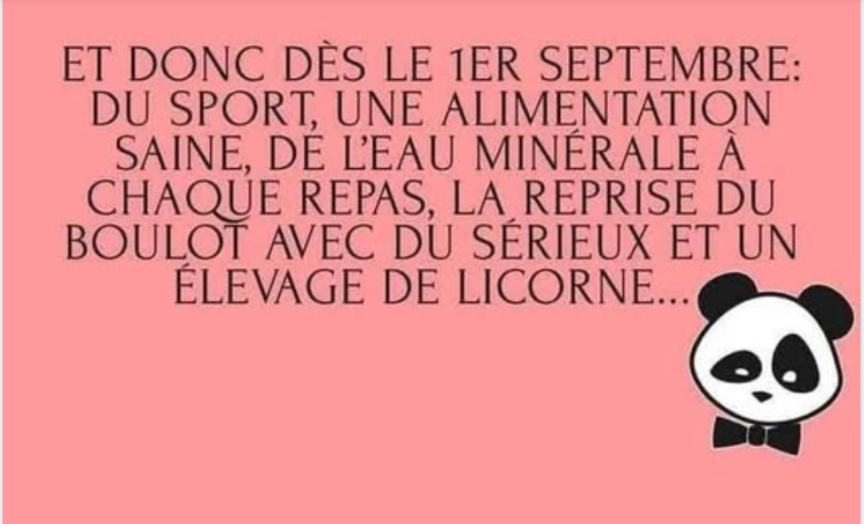 Capture d'écran 2026-09-01 151315.png