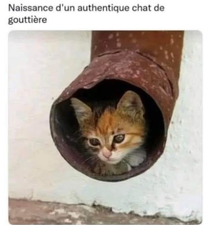 Capture d'écran 2026-09-19 165559.png