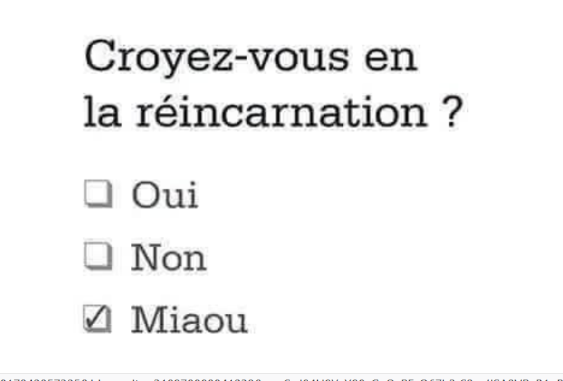 Capture d'écran 2026-09-25 155440.png