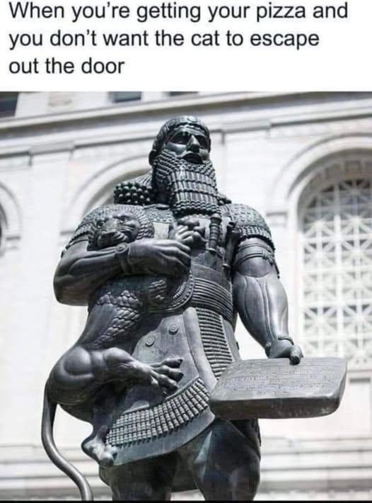 831456877_1077909531663409_186960431265558307_n.jpg