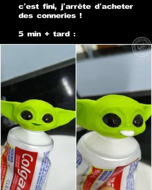 846771071_1545525204277625_7985313477591559868_n.jpg