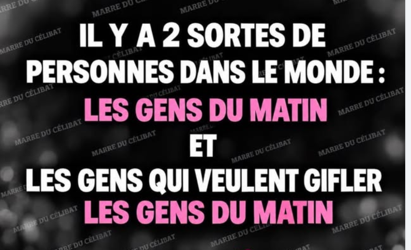 Capture d'écran 2026-10-23 113138.png
