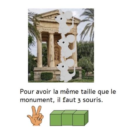 souris 2.jpg